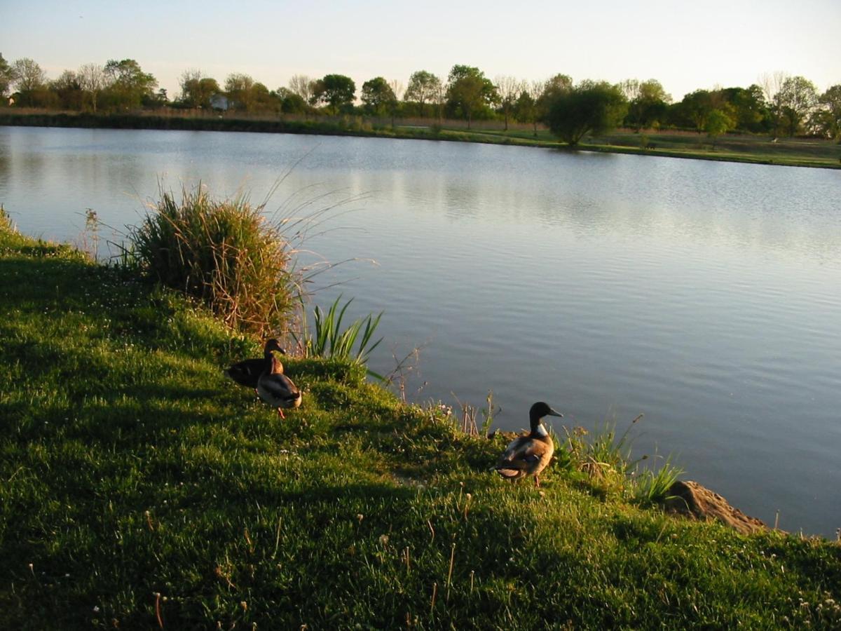 Camping Du Lac De Saujon Buitenkant foto